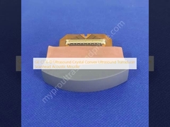 GE C1-6-D Ultraschall Kristall Konvex Ultraschallwandler Scanhead Akustische Schleife