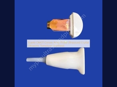 Esaote CA431 Konvex-Array-Sonde Ultraschall Kristall Ultraschallwandler Scanhead