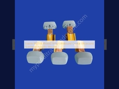 Esaote PA230E Phased Array Ultraschall Kristall Ultraschall-Schallkopf Akustikmodul
