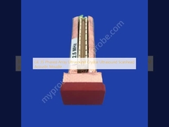 GE 3S Fased Array Ultrasound Crystal Ultrasound Scanhead akoestische molde