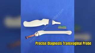 Transvaginal Ultrasound Probe Ob Gyn Urology